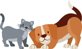 Pets decoration