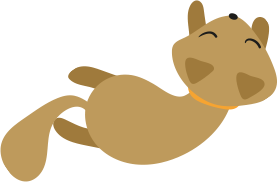 Pet